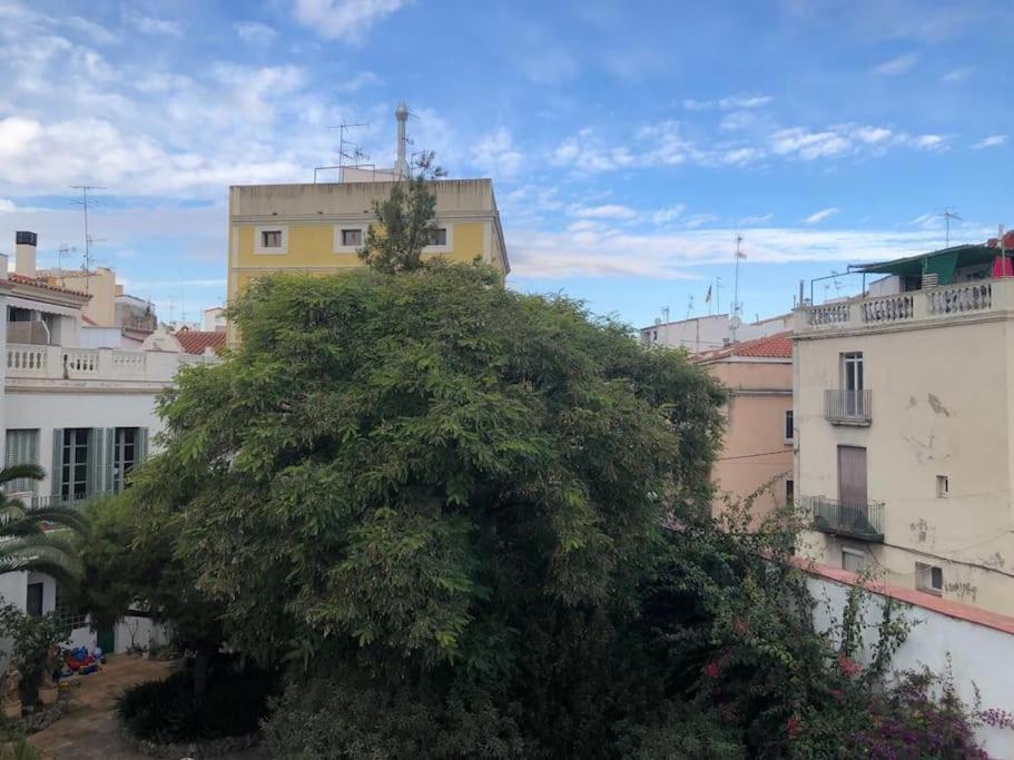 L'Havana Xica فيلانوفا إي لا خيلترا المظهر الخارجي الصورة